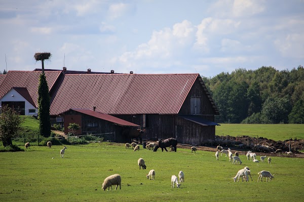 Lietuviškų obuolių dekonstrukcija