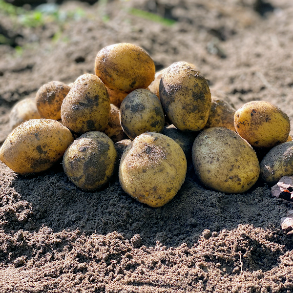 Ėriuko šonkauliukai